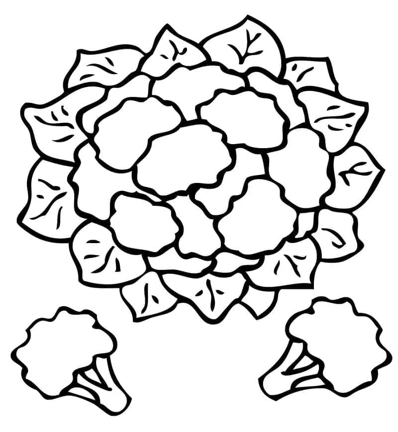 Chou Fleur 2